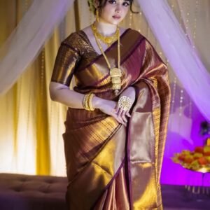 রাজনন্দিনী কাঞ্চিপুরম শাড়ী।